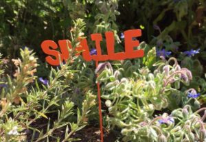 Smile sign in garden
